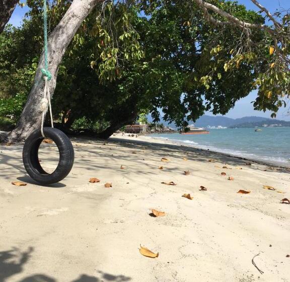 Bungalow Standard, Wild Pasir Panjang