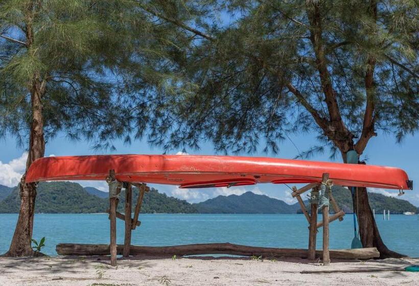 سرير فى غرفة مشتركه, Wild Pasir Panjang