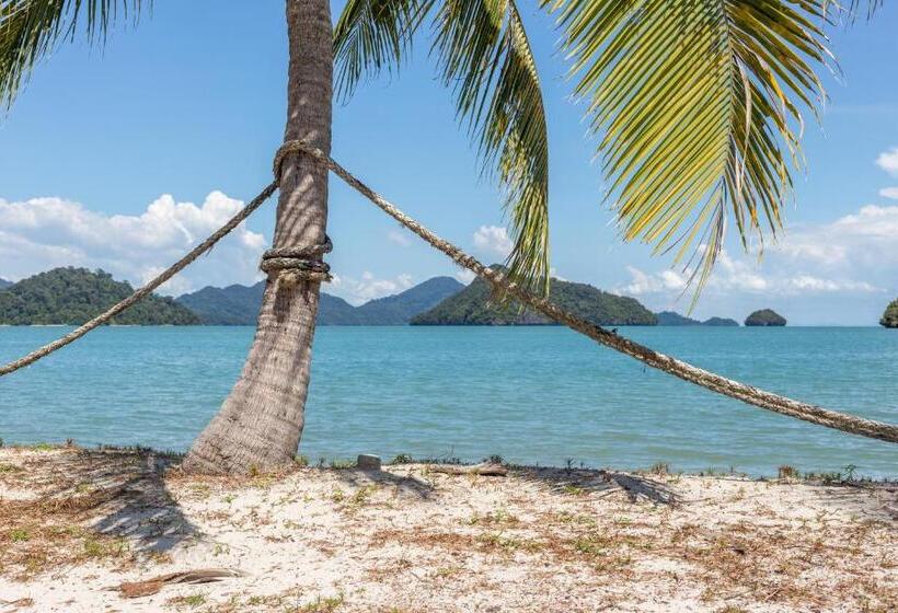 Łóżko we Wspólnym Pokoju, Wild Pasir Panjang