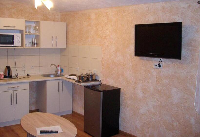 اتاق استاندارد با تراس, Astra Poilsis Sventojoje