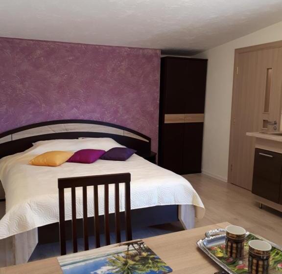 اتاق استاندارد با چشمانداز باغ, Astra Poilsis Sventojoje