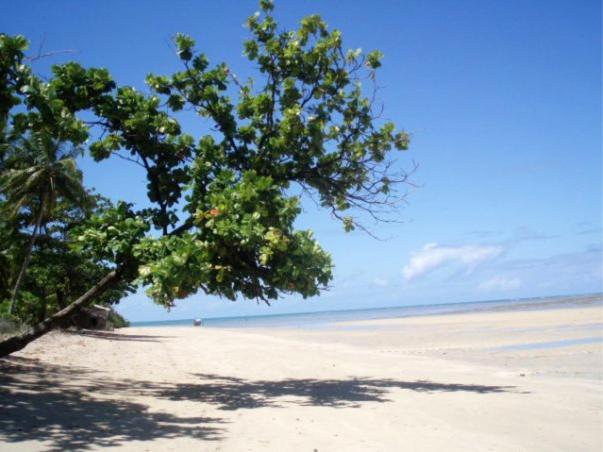 بانگلوی استاندارد, Dendê Loft