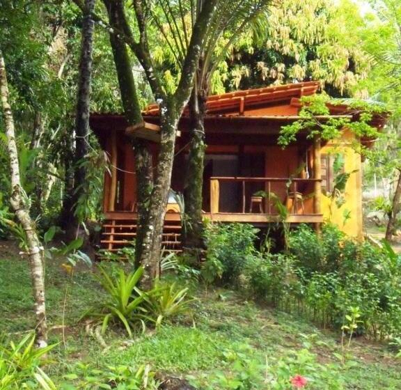 بانگلوی استاندارد, Dendê Loft