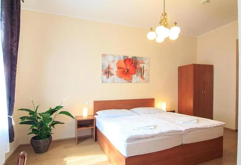 اتاق استاندارد, Penzion U čejpu