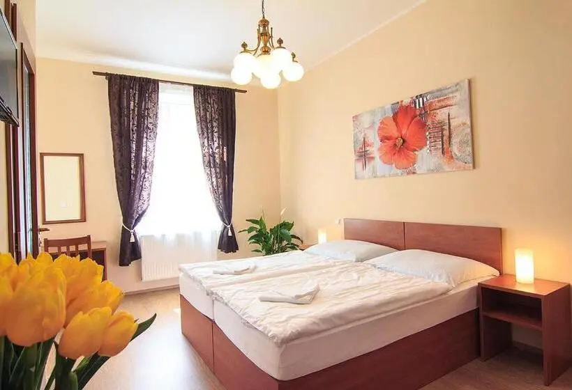 اتاق استاندارد, Penzion U čejpu