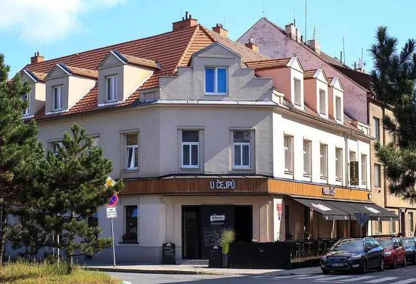 اتاق استاندارد یک نفره, Penzion U čejpu