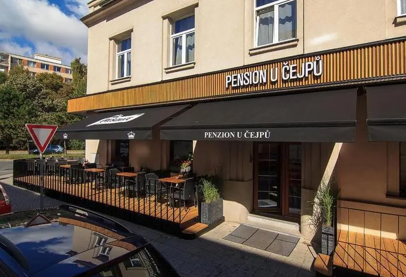 اتاق استاندارد یک نفره, Penzion U čejpu