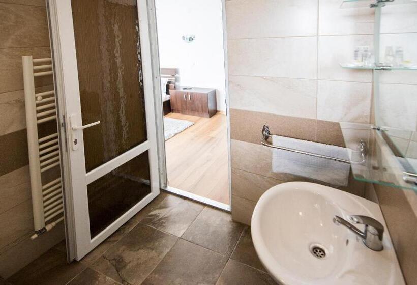 Номер Комфорт, Pensiunea Daiana Residence