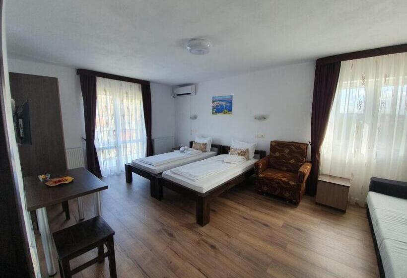 Люкс, Pensiunea Daiana Residence