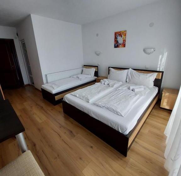 Трехместный Номер Стандарт с Балконом, Pensiunea Daiana Residence