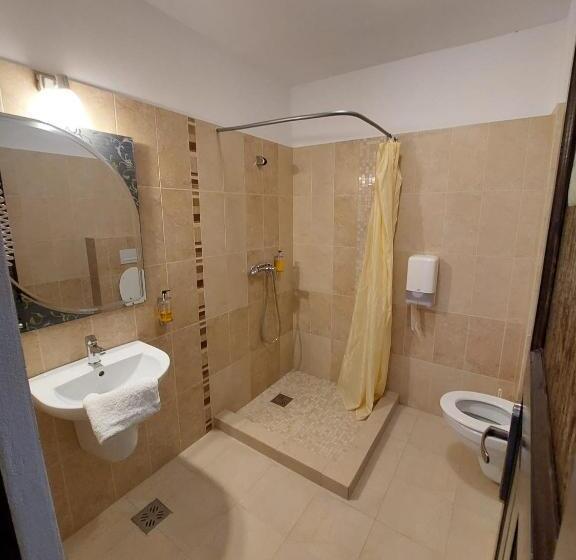 Трехместный Номер Стандарт с Балконом, Pensiunea Daiana Residence