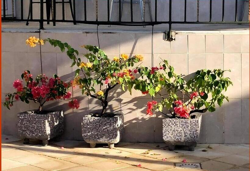 استودیو استاندارد با چشمانداز استخر, Villa Labrousse