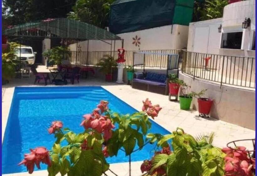 استودیوی استاندارد, Villa Labrousse