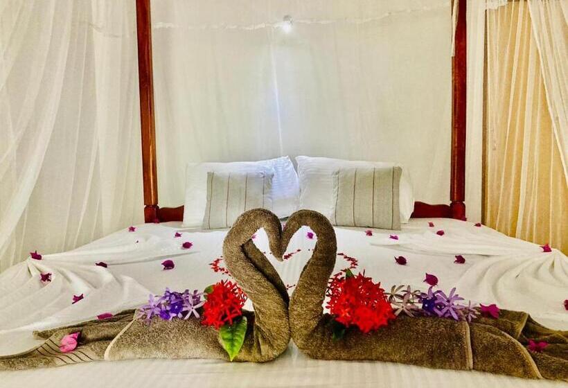 オーシャンビュースタンダードルーム, Dilena Beach Inn