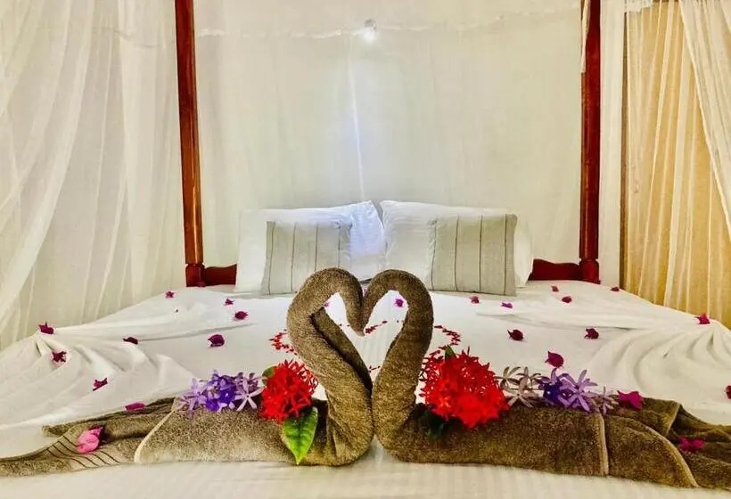 オーシャンビュースタンダードルーム, Dilena Beach Inn