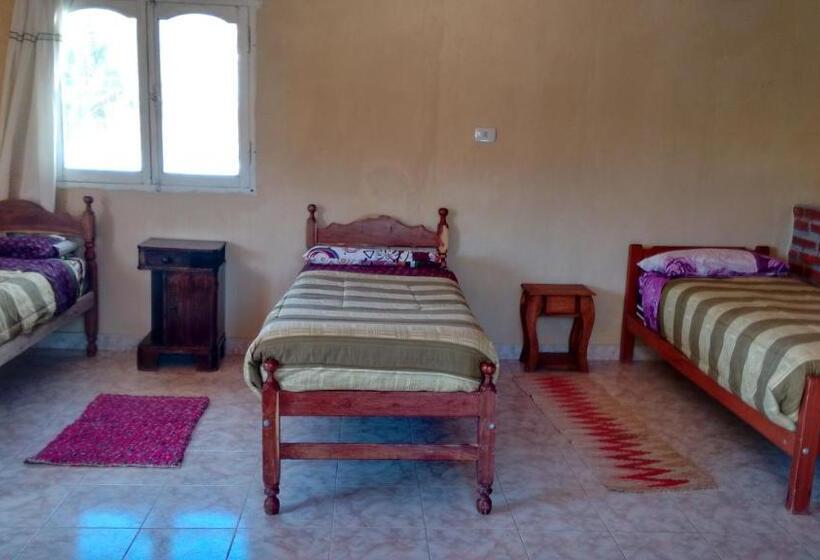 آپارتمان 2 خوابه, Hospedaje Elias