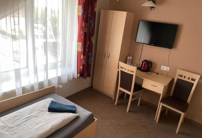 اتاق استاندارد با سرویس بهداشتی مشترک, žilina