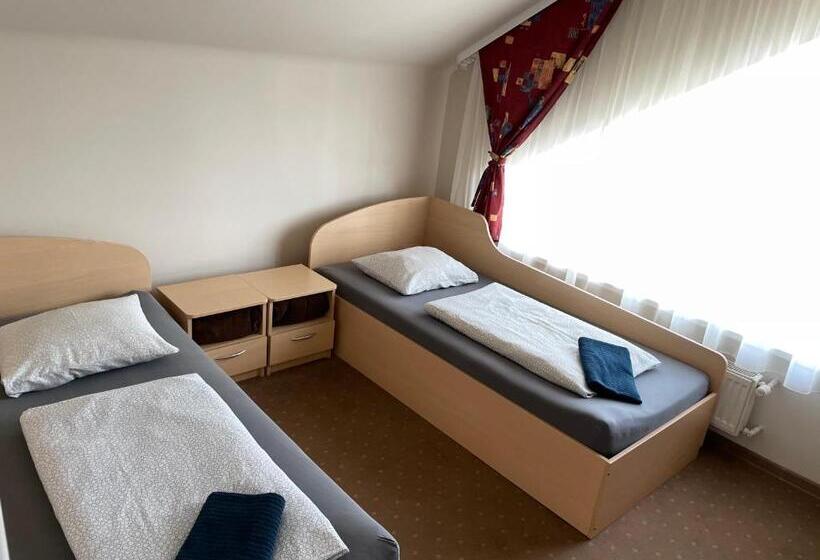 اتاق استاندارد با سرویس بهداشتی مشترک, žilina