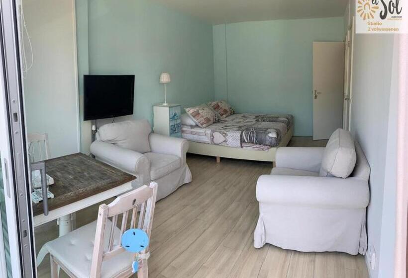 استودیوی استاندارد, El Sol Zandvoort 2