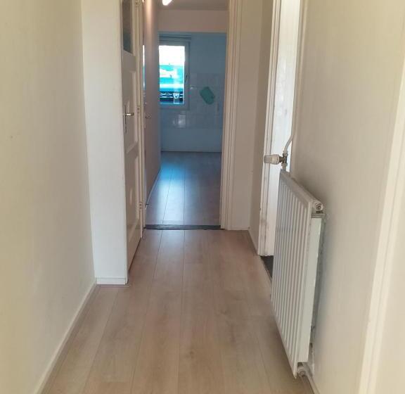 اتاق استاندارد چهار تخته, El Sol Zandvoort 2