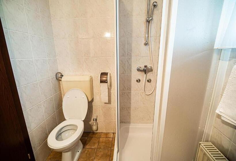 اتاق استاندارد, Guesthouse Leski Dvor