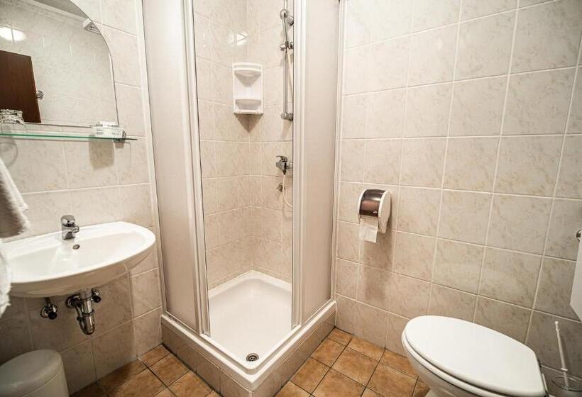 اتاق استاندارد, Guesthouse Leski Dvor