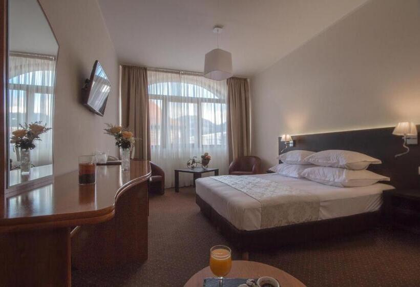 スタンダードルーム, Restaurant Pensiune Bucovina