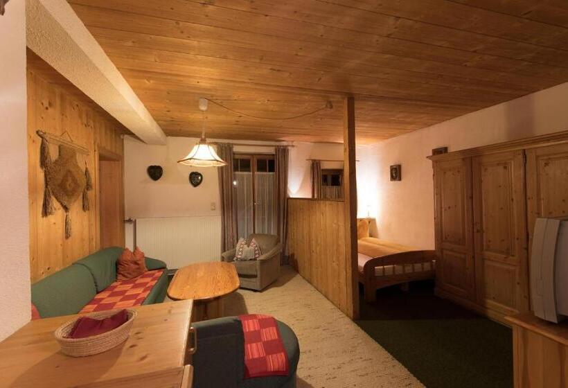 آپارتمان 1 خوابه با تراس, Gasthof Zur Traube