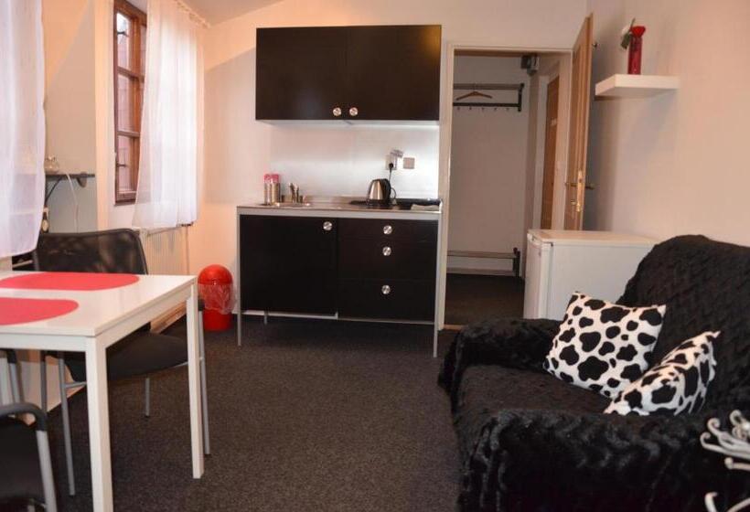 标准间, Guesthouse Zlatý Hrozen