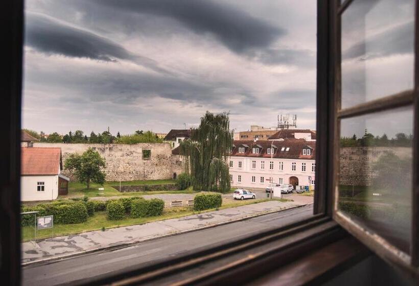 标准三人间, Guesthouse Zlatý Hrozen