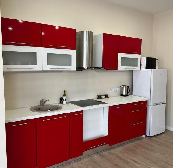 استودیوی استاندارد, Viesu Nams Pupa