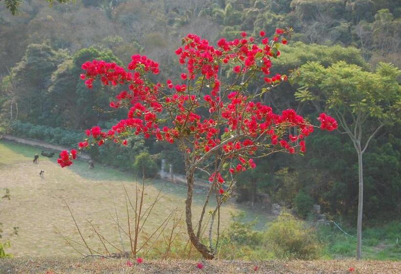 샬레, Fazenda Cachoeira Grande