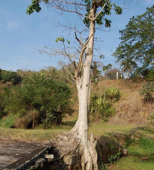 샬레, Fazenda Cachoeira Grande