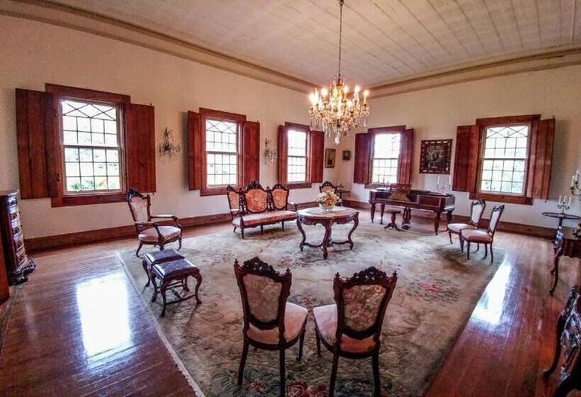 Номер Стандарт, Fazenda Cachoeira Grande