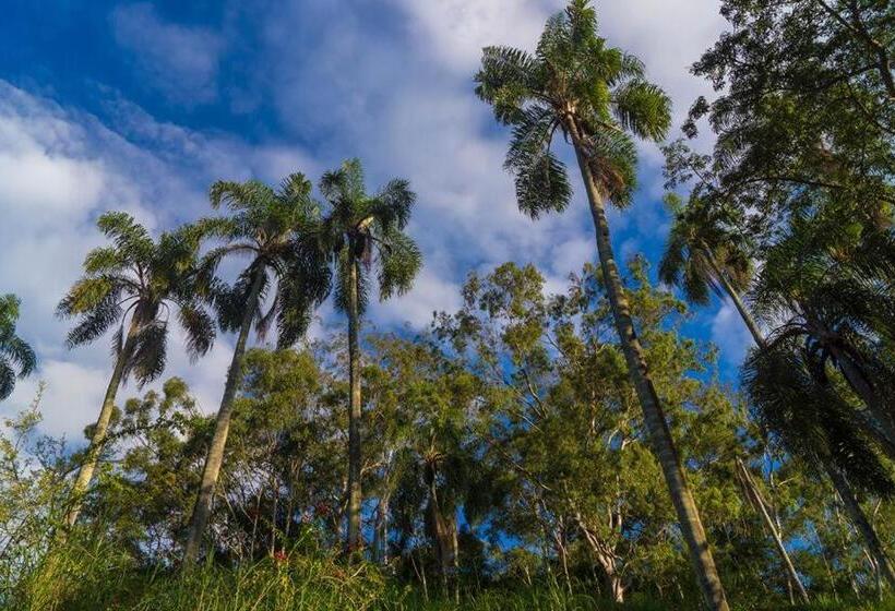 샬레, Fazenda Cachoeira Grande