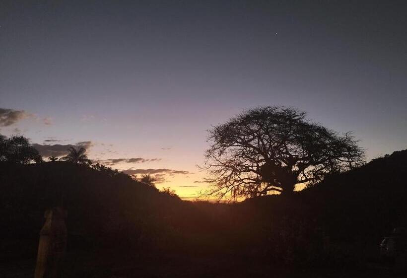 스탠다드 룸, Fazenda Cachoeira Grande