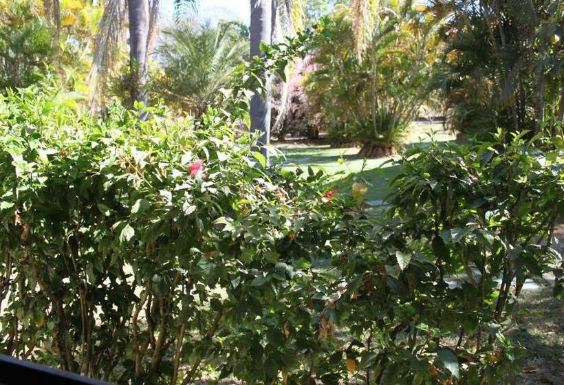 Трехместный Номер Superior, Fazenda Tia Dora