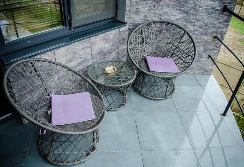 اتاق استاندارد با تراس, City Lux Villa