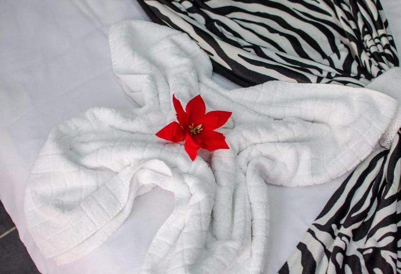 اتاق استاندارد با تراس, City Lux Villa