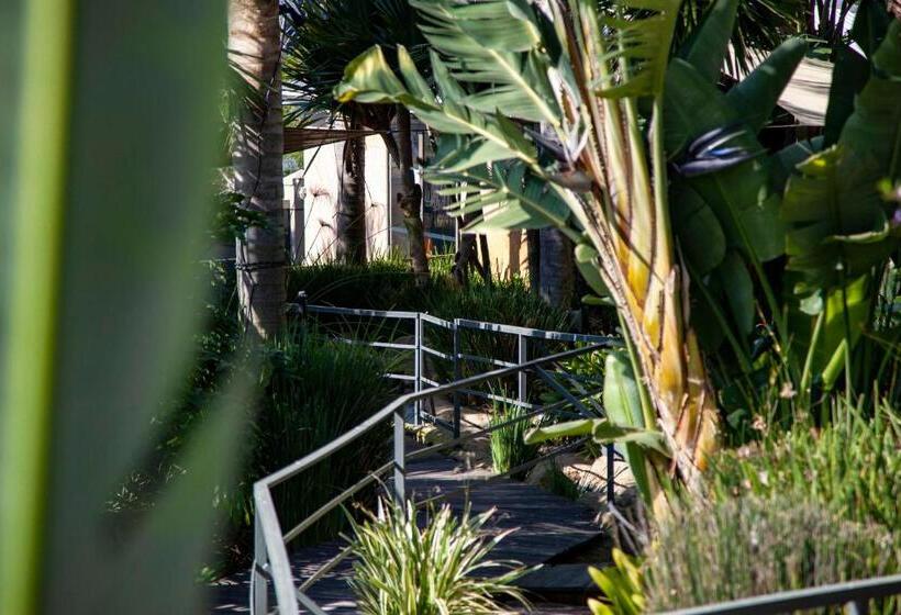 إستوديو قياسى, D Urbanmist Self Catering Guest House