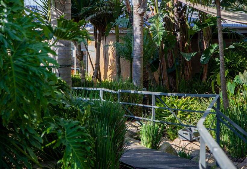 إستوديو قياسى, D Urbanmist Self Catering Guest House