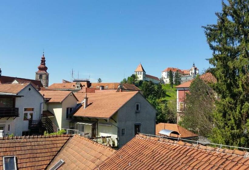 اتاق عادی, Rooms Hiša Divino