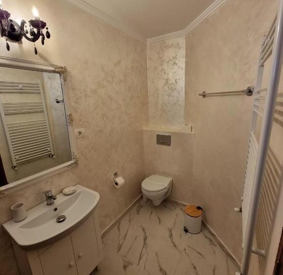 Апартаменты 1 Спальня, Vila Central