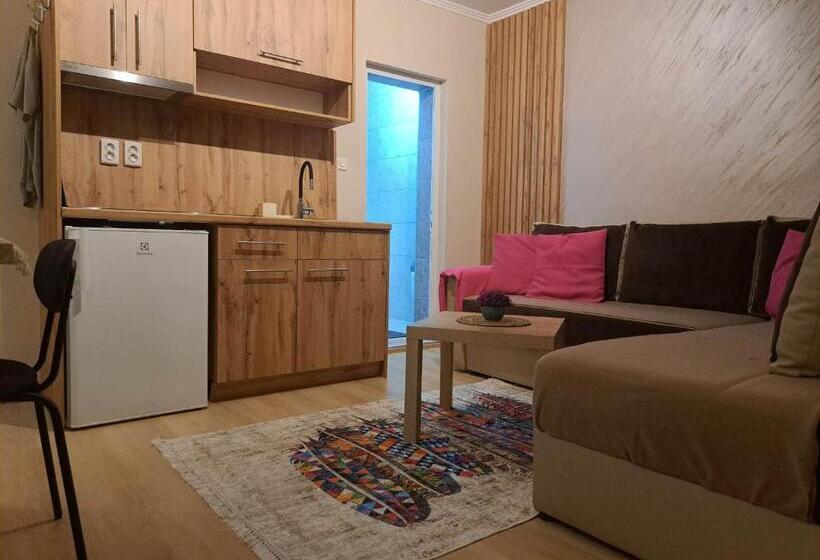 آپارتمان 1 خوابه, Villa Renessans