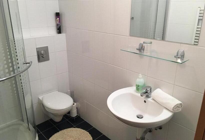 Standard Yhden Hengen Huone, Főtér Panzió