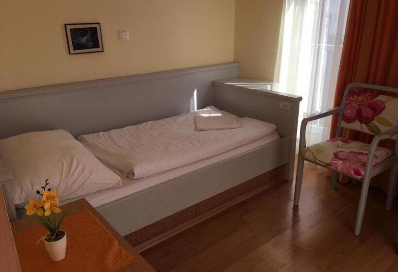 Standard Yhden Hengen Huone, Főtér Panzió