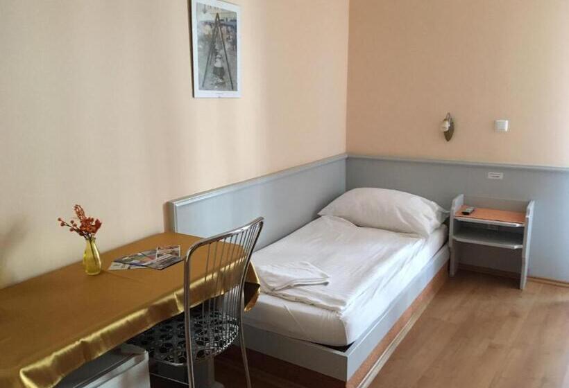 Standard Yhden Hengen Huone, Főtér Panzió