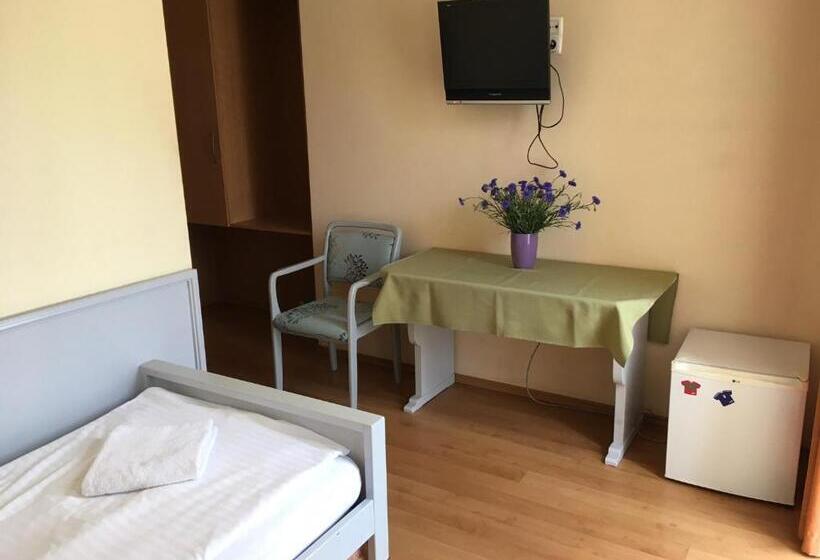 Standard Yhden Hengen Huone, Főtér Panzió