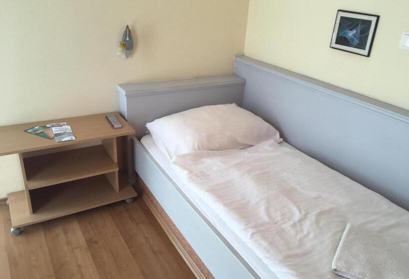 Standard Yhden Hengen Huone, Főtér Panzió