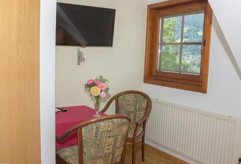 Standard Yhden Hengen Huone, Pension Strauß